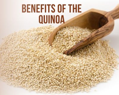 quinoa grains packing | Jam Jam Group